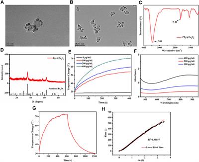 PPy@Fe3O4 nanoparticles inhibit the proliferation and metastasis of CRC via suppressing the NF-κB signaling pathway and promoting ferroptosis